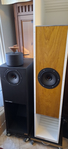 Cobra en Kirishima hoorn speakers